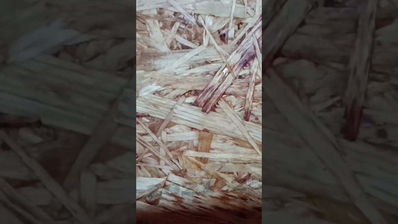 Вот почему фасад из ОСП необходимо делать через вентзазор. смотреть онлайн