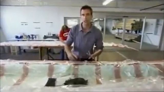 Kayak Carbon смотреть онлайн