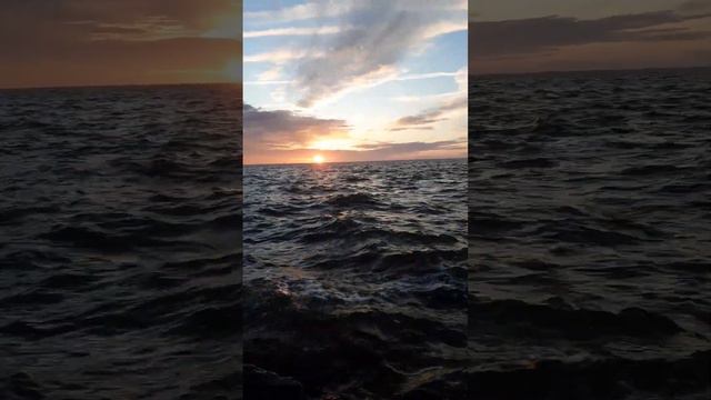 🔥 Все бабы как бабы ..🔥#music#love#luchshii#семёнфролов#звукиморя#закатсолнца #море#зима смотреть онлайн