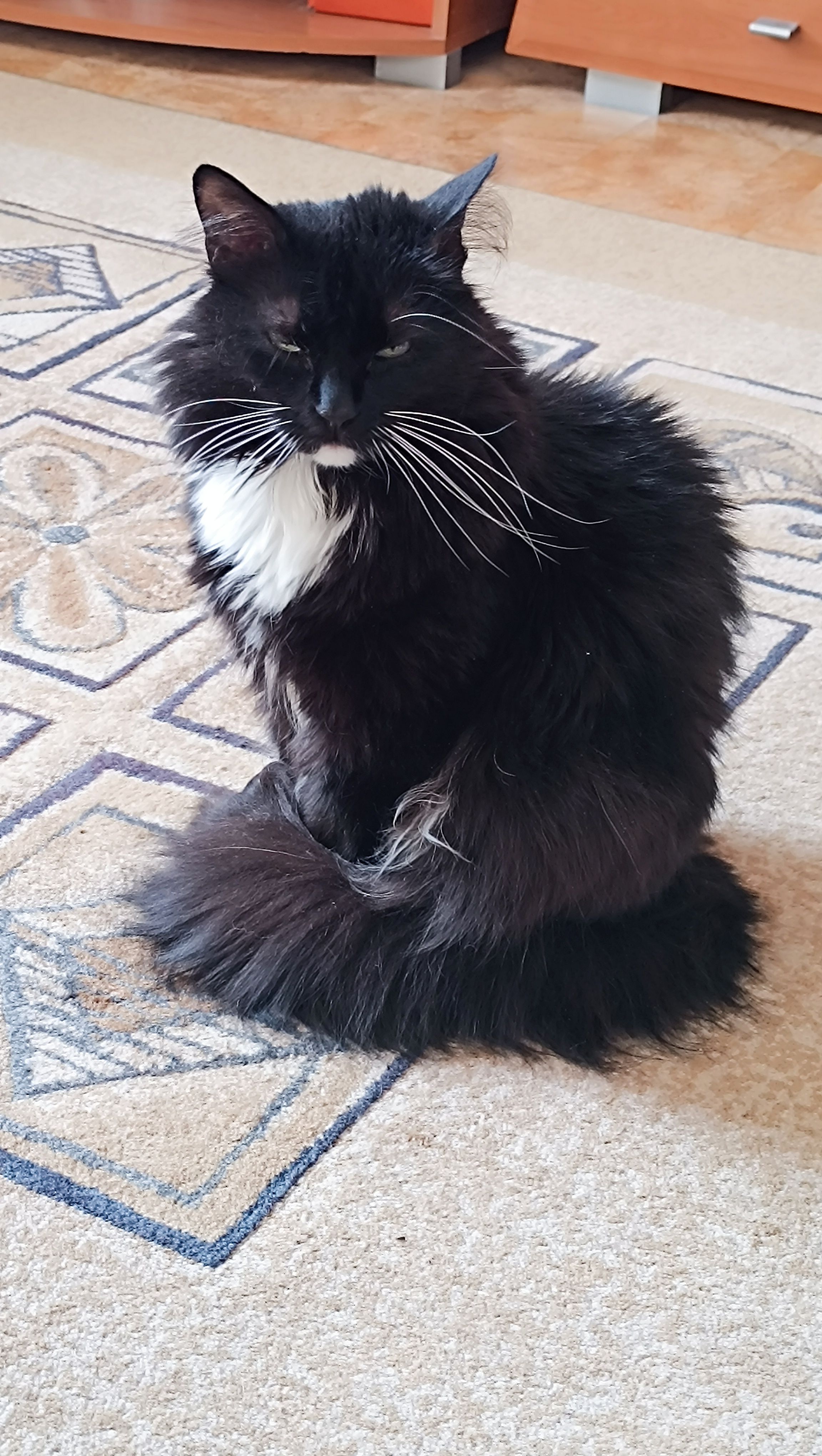 #43. Избаловала тебя Советская власть...???