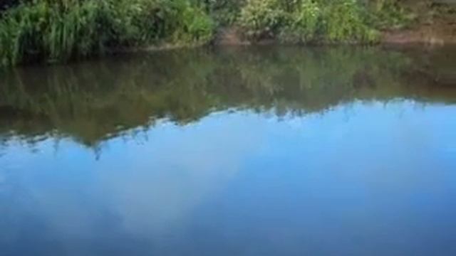Лещ на микроджиг смотреть онлайн