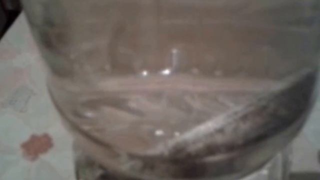 Вода с магнием = живая вода