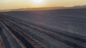 Посев🌻 по STRIP-TILL и по пахоте 🚜 John Deere 8370R и Хорш фокус+маэстро .и Kverneland