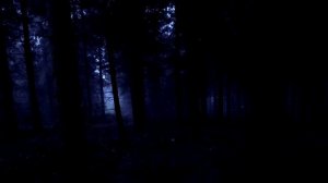 The Cure A Forest - Lost Mix - Robert Smith Simon Gallup Lol Tolhurst Matthieu Hartley Remix Demo