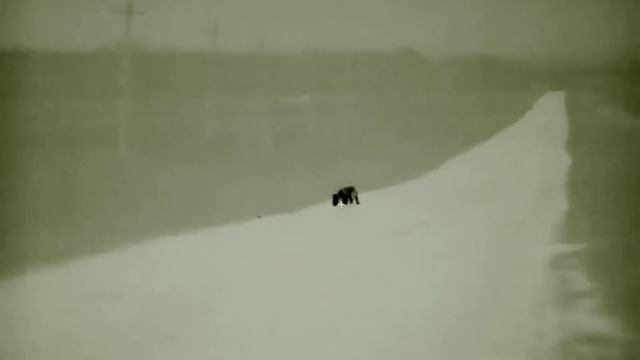 Шакал. Дистанция 115м. iRay Rico RL42 смотреть онлайн