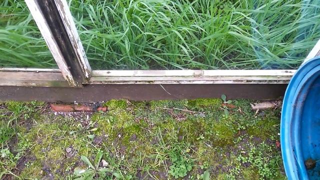 Как избавиться от Мха и Лишайников. Железный Купорос смотреть онлайн