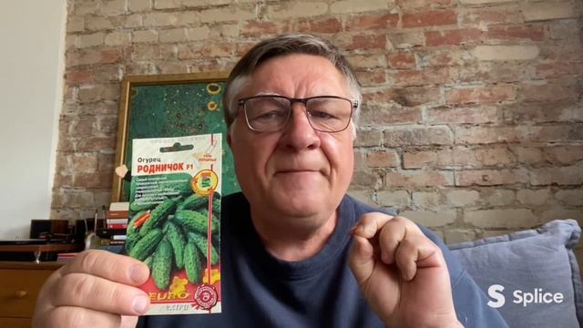 Огурцы пчелоопыляемые. Популярные сорта и гибриды. смотреть онлайн