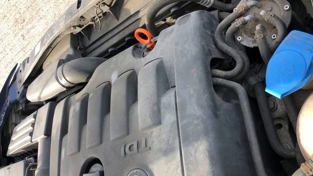 Разборка Skoda - Octavia (A5) 2004-2008, 2 TDI (VIN: TMBBE21Z182152534) PY58FZZ смотреть онлайн