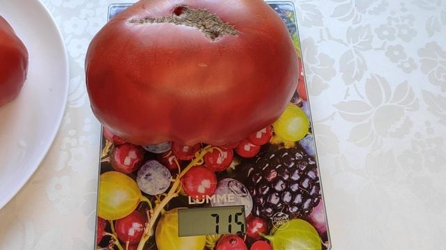 Томат "Красный гигант". Сорт из прошлого. Самый крупный, мясистый, сладкий томат. Сезон - 2022 смотреть онлайн