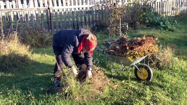 Укрытие для лука и чеснока. Зимовка без потерь. смотреть онлайн