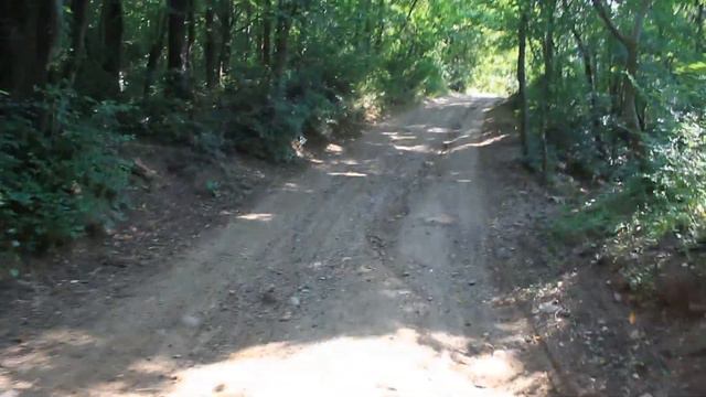 Как дойти до места сбора в Краснолесье смотреть онлайн