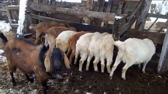 Опять это "жалко" смотреть онлайн