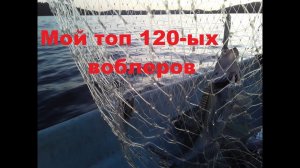 Мой топ 120-х воблеров