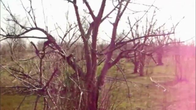 КОП в саду и самодельный штатив... смотреть онлайн