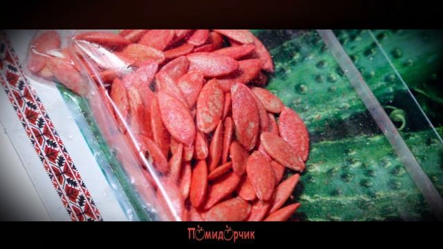 Семена Огурец Сремський F1 инкрустированные - Помидорчик смотреть онлайн