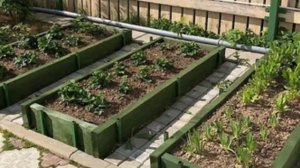 Супер удобные грядки. Красивые грядки украсят любой огород