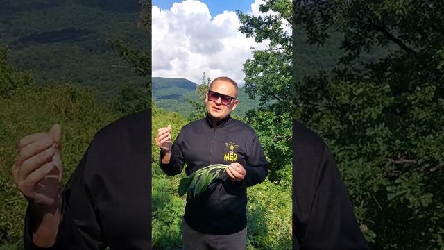 сок подорожника для похудения смотреть онлайн
