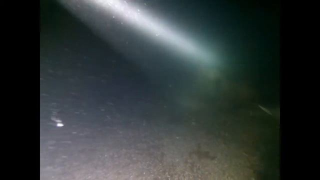 Неопознанный объект под водой, глубина 5 метров, недалеко от берега Мысхако смотреть онлайн