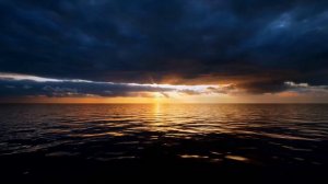 Prophetic word: Wall Street. The lion shall crash now! Nations will be dethroned. Lion Pride 🇺🇸