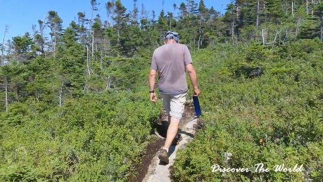 JAMES COOK HERITAGE TRAIL - BLOW ME DOWN PROVINCIAL PARK - NEWFOUNDLAND смотреть онлайн