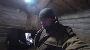 БЫК ГРЫЗЁТ БРЁВНА В САРАЕ/// ОТКОРМ БЫКОВ