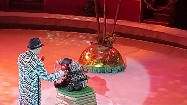 ОГО ШИМПАНЗЕ!!!!