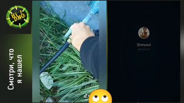 Покраска вещей в воде радужная покраска гидроперенос. Best hidro dip practaces from tiktok смотреть онлайн