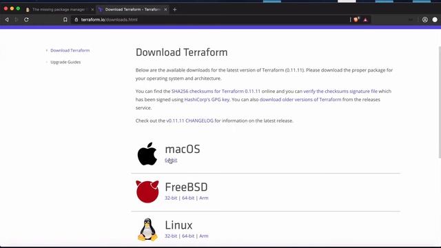 Terraform installation Mac OS | Terraform command not found смотреть онлайн
