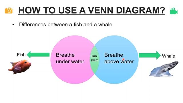 Venn Diagrams [Grade 10-11 English Language] смотреть онлайн