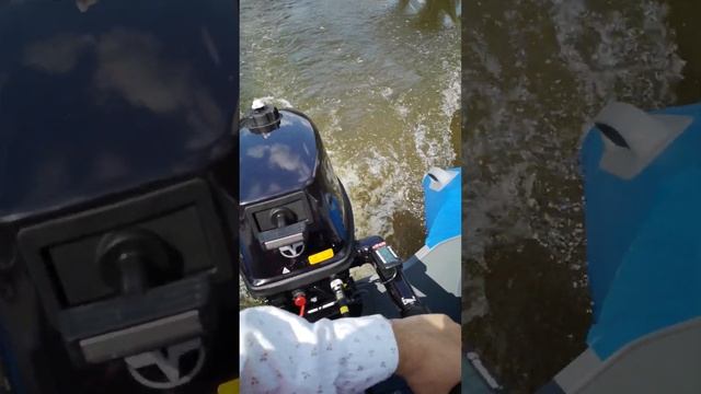 Roger trofey 3100 и tohatsu 5 two stroke смотреть онлайн