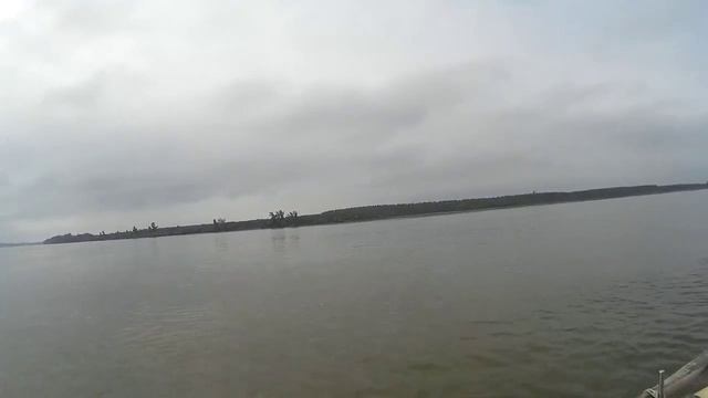 Ловля сома удилищем WFT Never Crack Big Fish