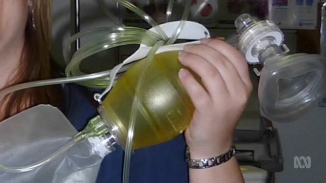 Ticks смотреть онлайн