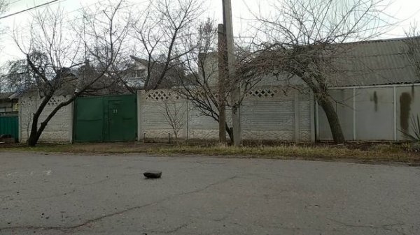 Купил BMX!!!!!!!! Tech Team GRASSHOPPER. Стабилизирую фэйки.