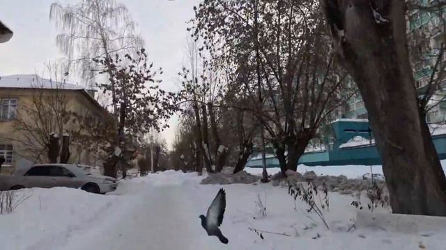 в минус 30 через Новосибирские мосты. 22 км. смотреть онлайн