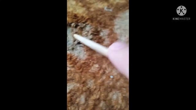 Вышкрубываем старый пластелин от ковра?? смотреть онлайн