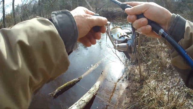 Бенефис Юрия Балабка.JB Wobbler. смотреть онлайн