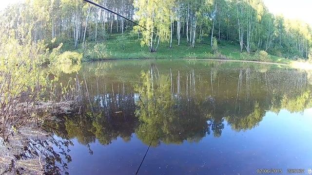 Карась на поплавочную удочку смотреть онлайн