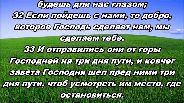 Тихое время с Живой Жизнью: Числа 10:11–36 (02062017) смотреть онлайн