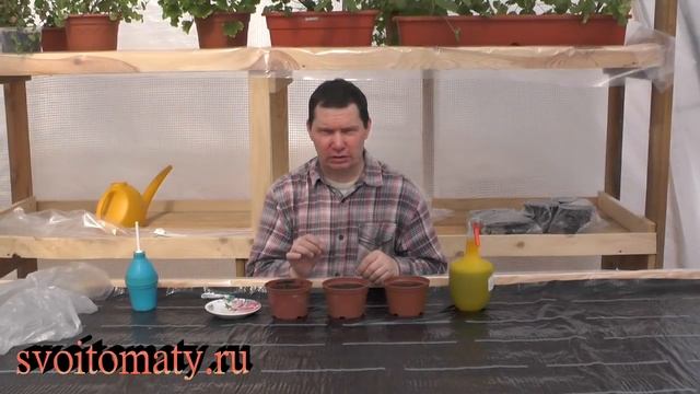 Как правильно посеять огурцы на рассаду смотреть онлайн