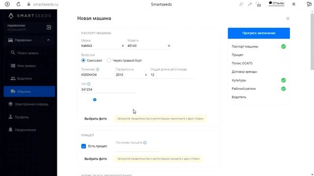Женские бойцы: в поисках победы