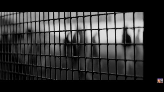 Гио Пика - Фонтанчик с черным дельфином смотреть онлайн