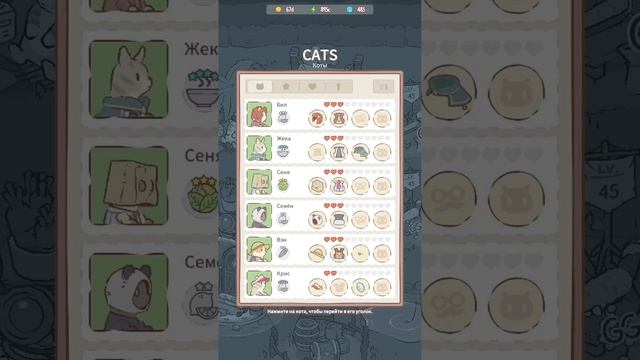 Спустя 5мес. Я опять играю в кошки и суп?