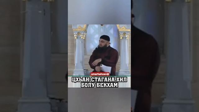 Хьехам: Хаза дийцар смотреть онлайн