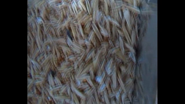 очистка зерна смотреть онлайн