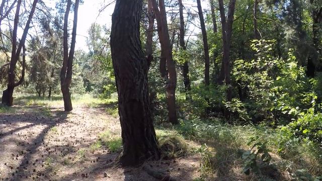 поездка и отдых на островах обкатка новой лодки и мотора смотреть онлайн