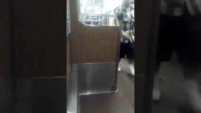Chicagoland: Riding CTA Blue Line from UIC-Halsted to Jackson смотреть онлайн