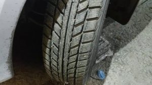 Белшина зимняя