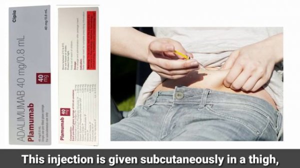 Plamumab | Adalimumab 40mg/0.8ml