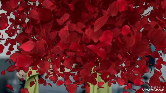 Video_20240417192256487_by_VideoShow смотреть онлайн