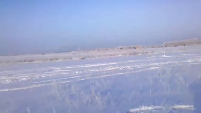 Troy is 4WD Full-time dog :) смотреть онлайн